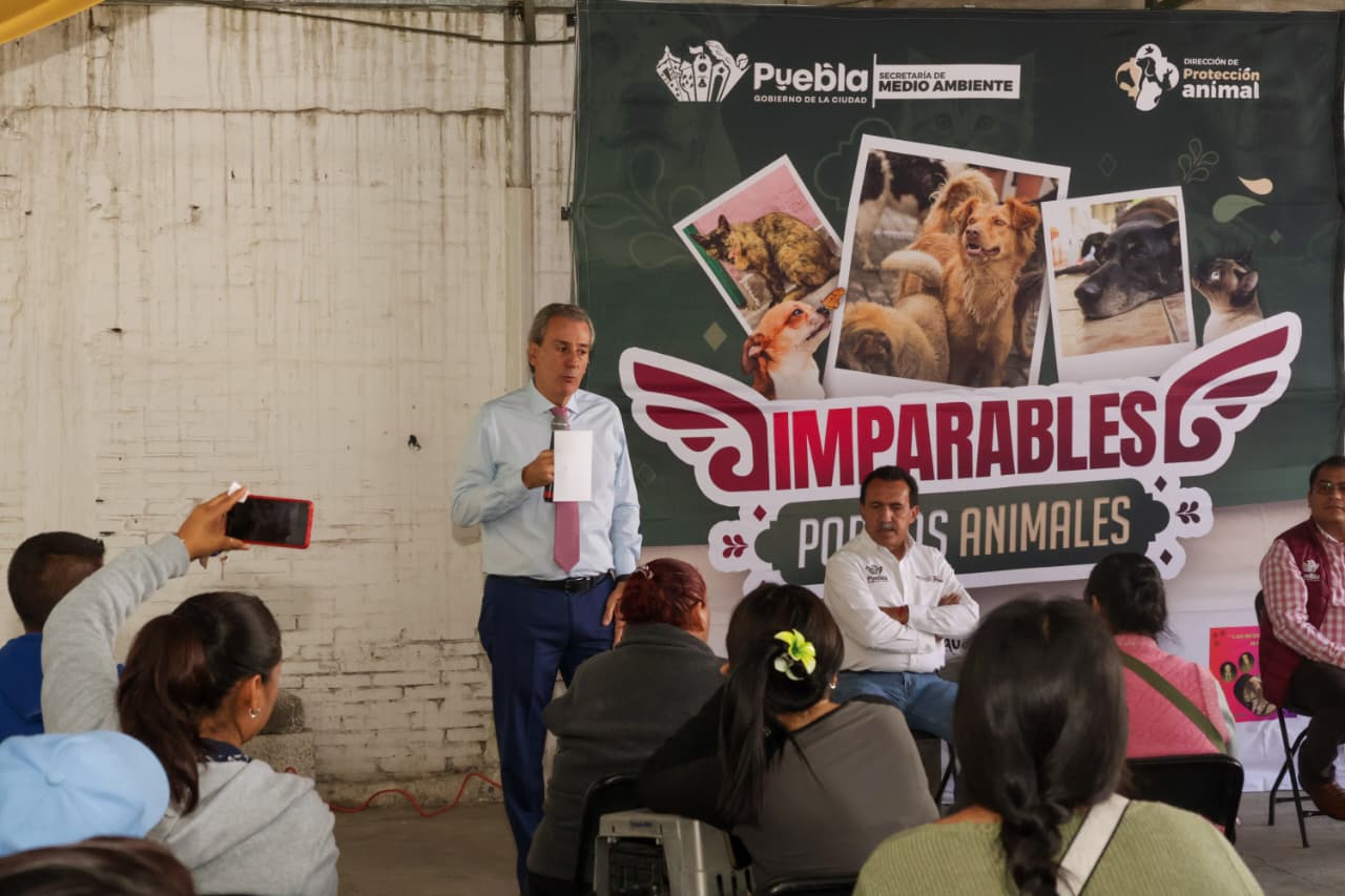 Imagen principal del artículo Pepe Chedraui acerca servicios gratuitos de bienestar animal a San Pablo Xochimehuacan