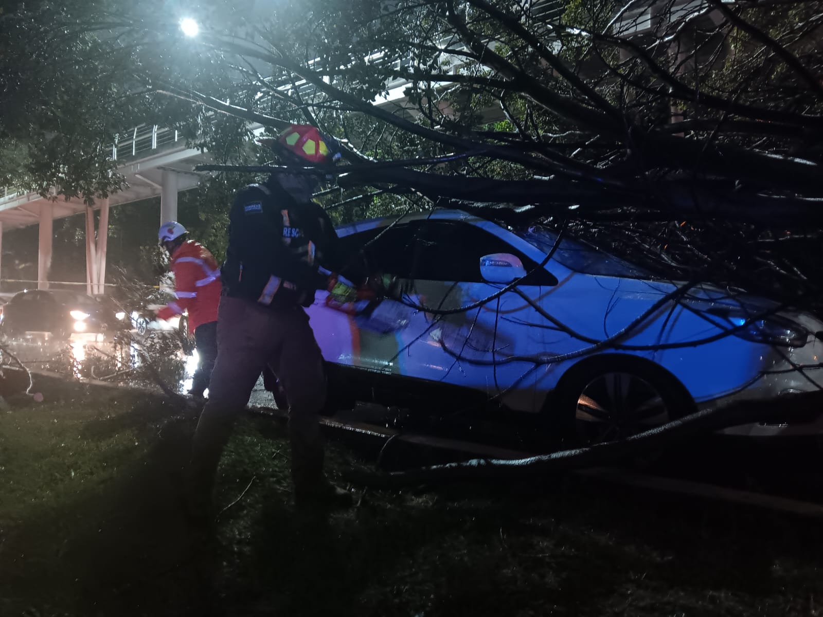 Imagen principal del artículo Desplega Gobierno de Pepe Chedraui acciones y atención inmediata a reportes por lluvias
