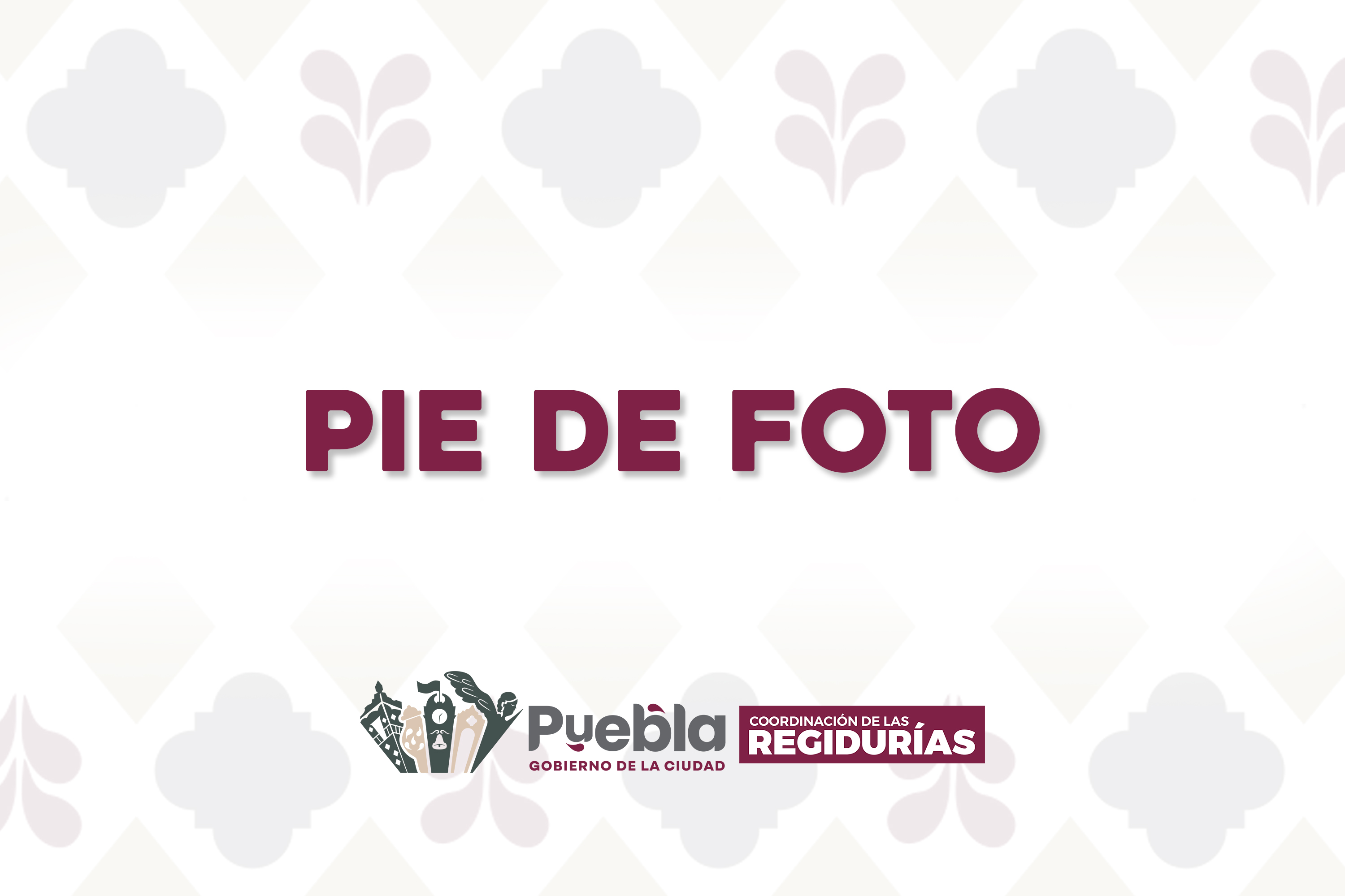 Imagen principal del artículo Reporta Comisión de Vigilancia 100% de cumplimiento en septiembre