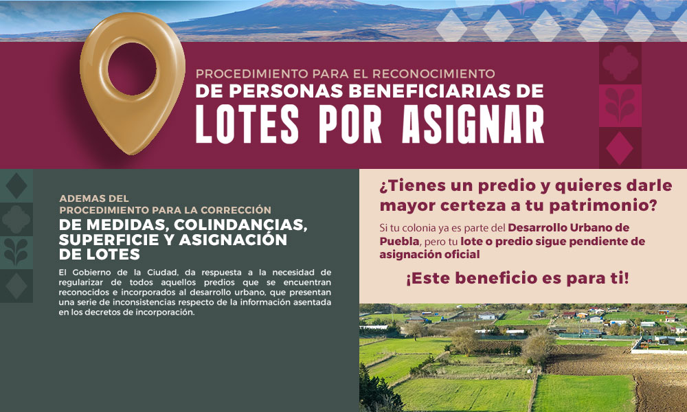 Lotes