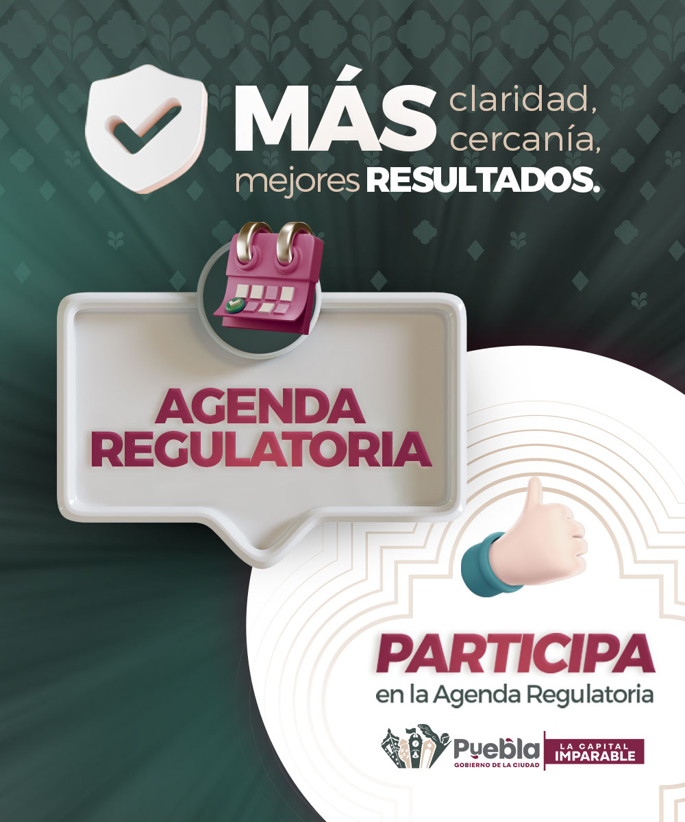 Mejora Regulatoria Agenda Regulatoria diciembre-jun2026